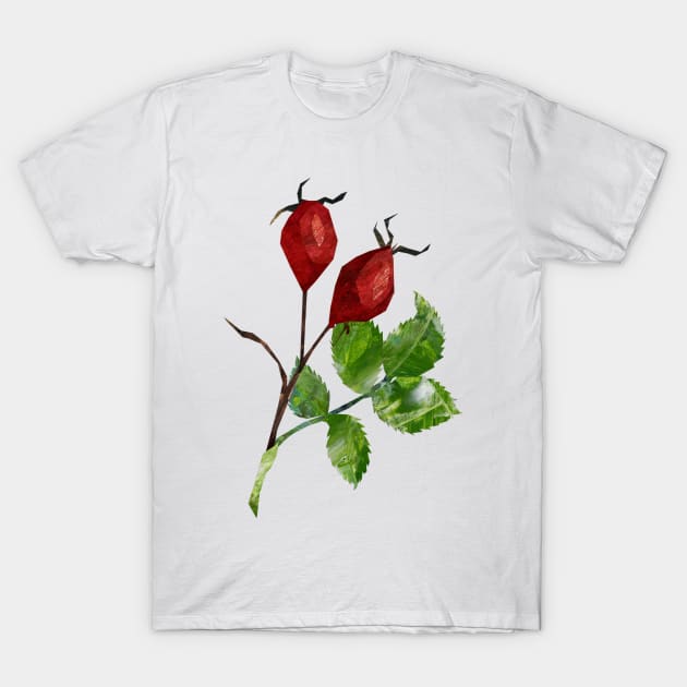 Rose hip T-Shirt by Babban Gaelg